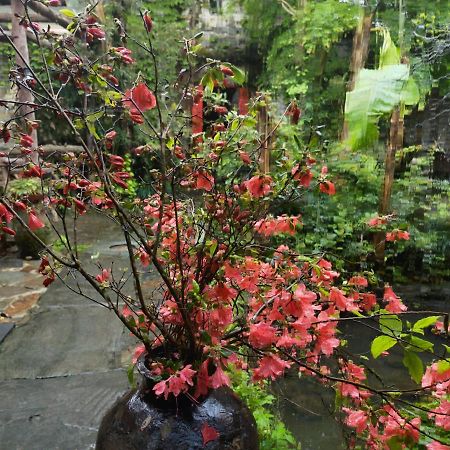 Wuyuan Qiye Yanxiang Guesthouse Eksteriør bilde